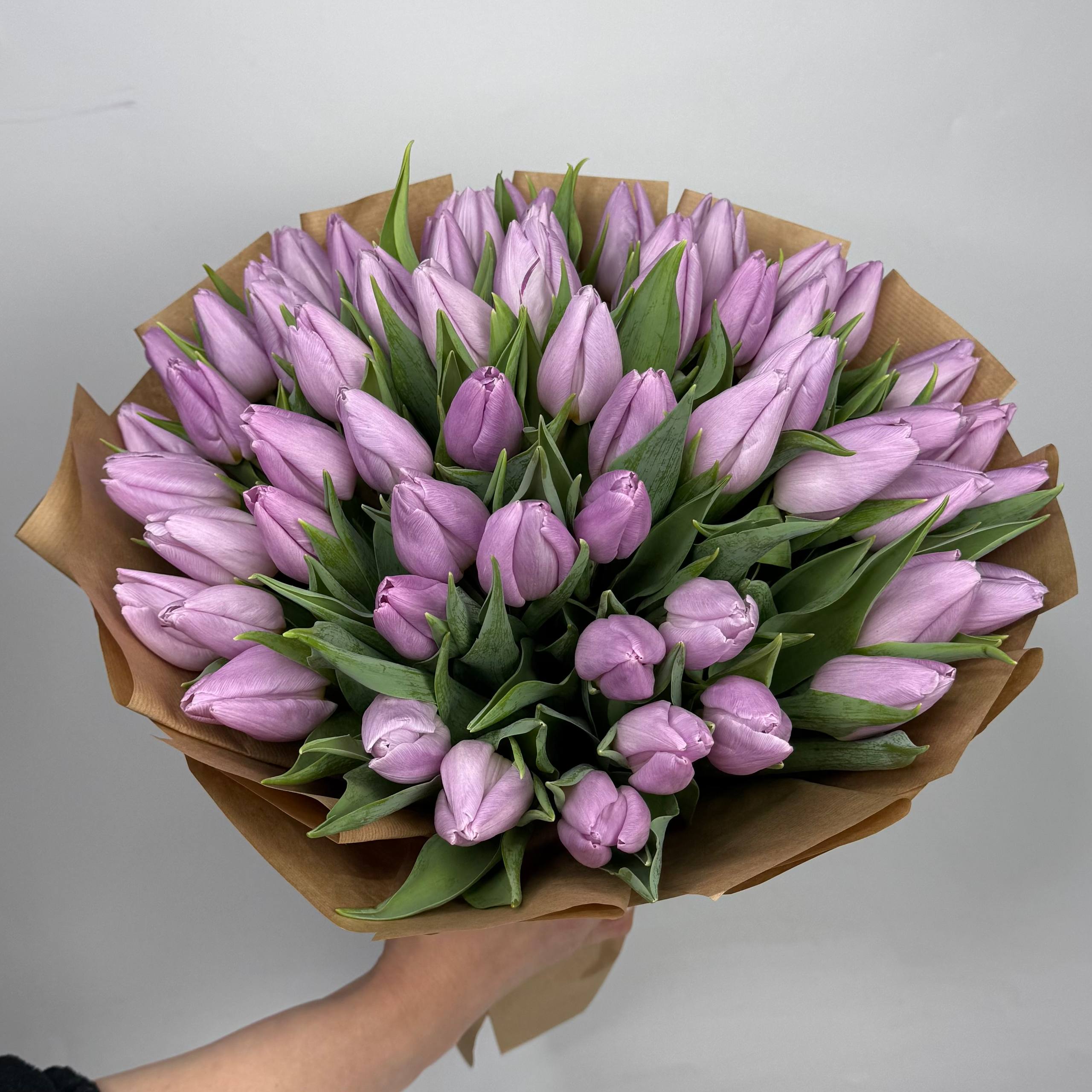 Світло фіолетові тюльпани 51 шт image