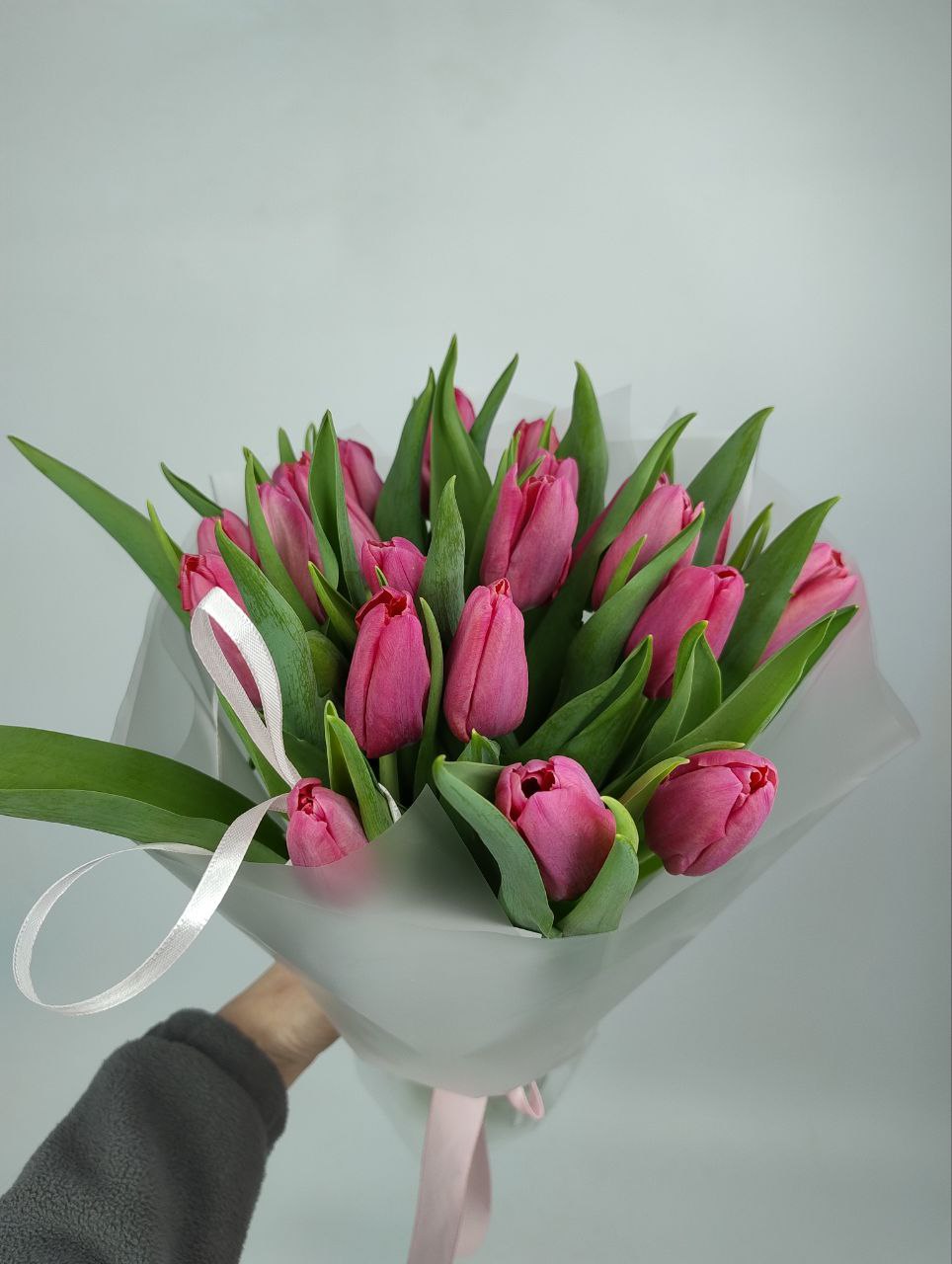 Малинові тюльпани 25 шт image