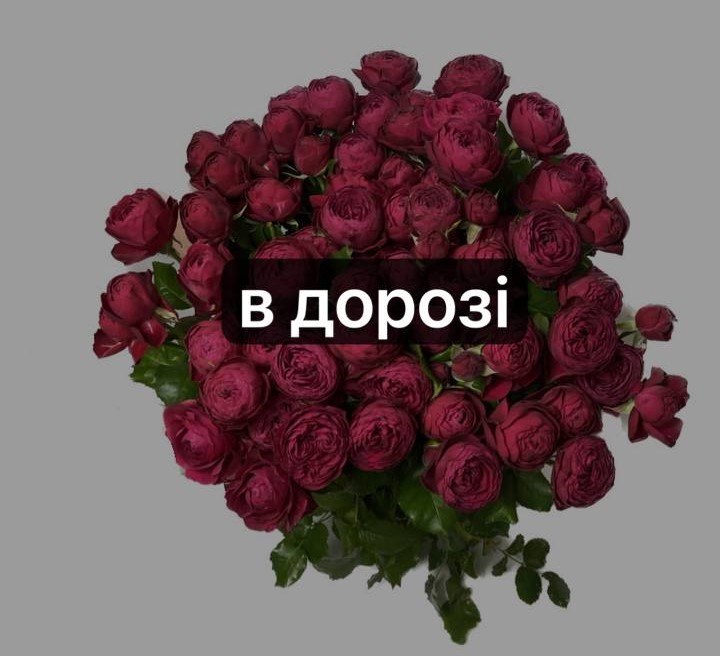Чері Трендсеттер 70 см-10 шт: Кущова троянда (Червоний) - 10.