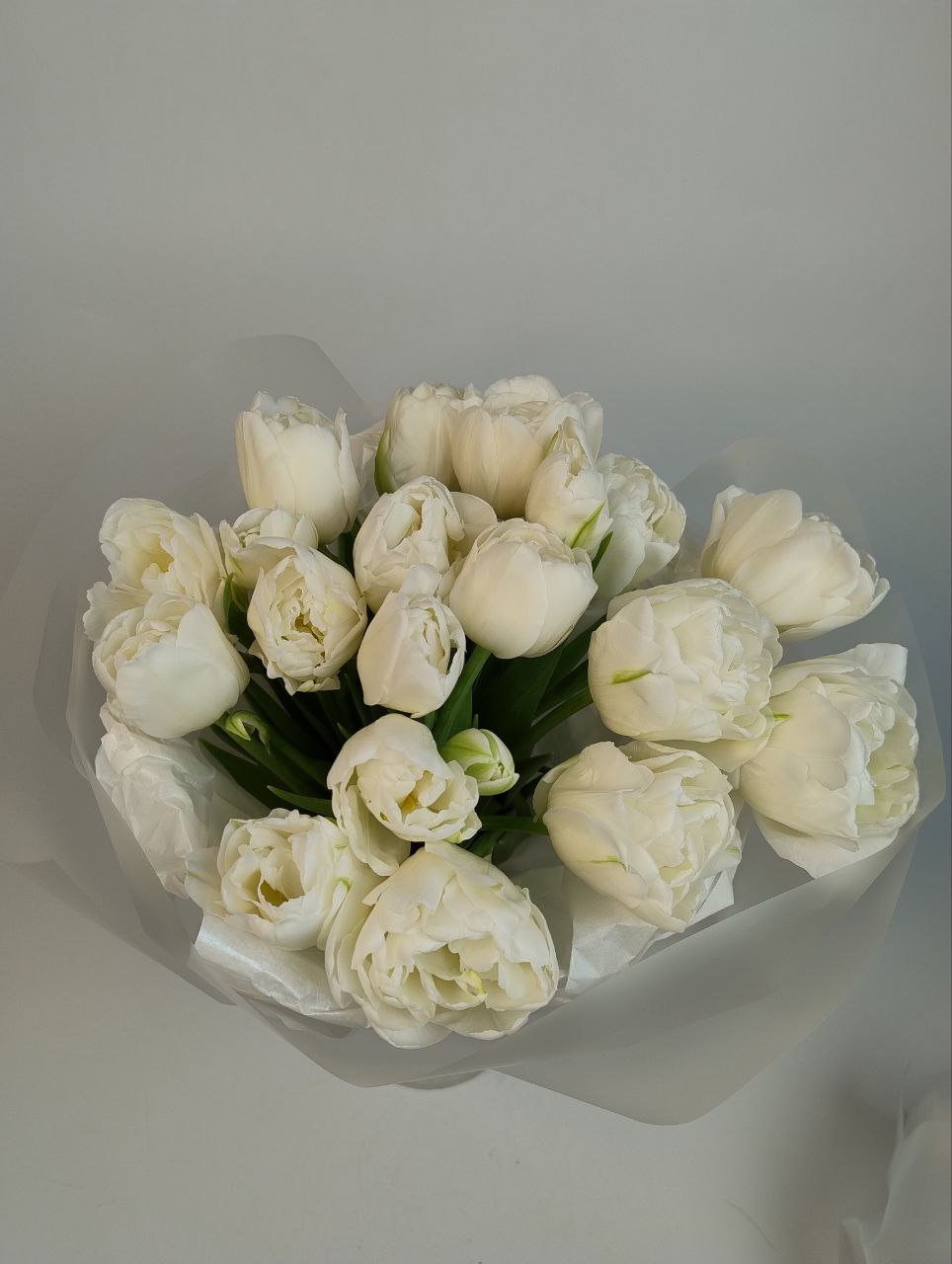 Піоноподібний білий тюльпан 17 шт image