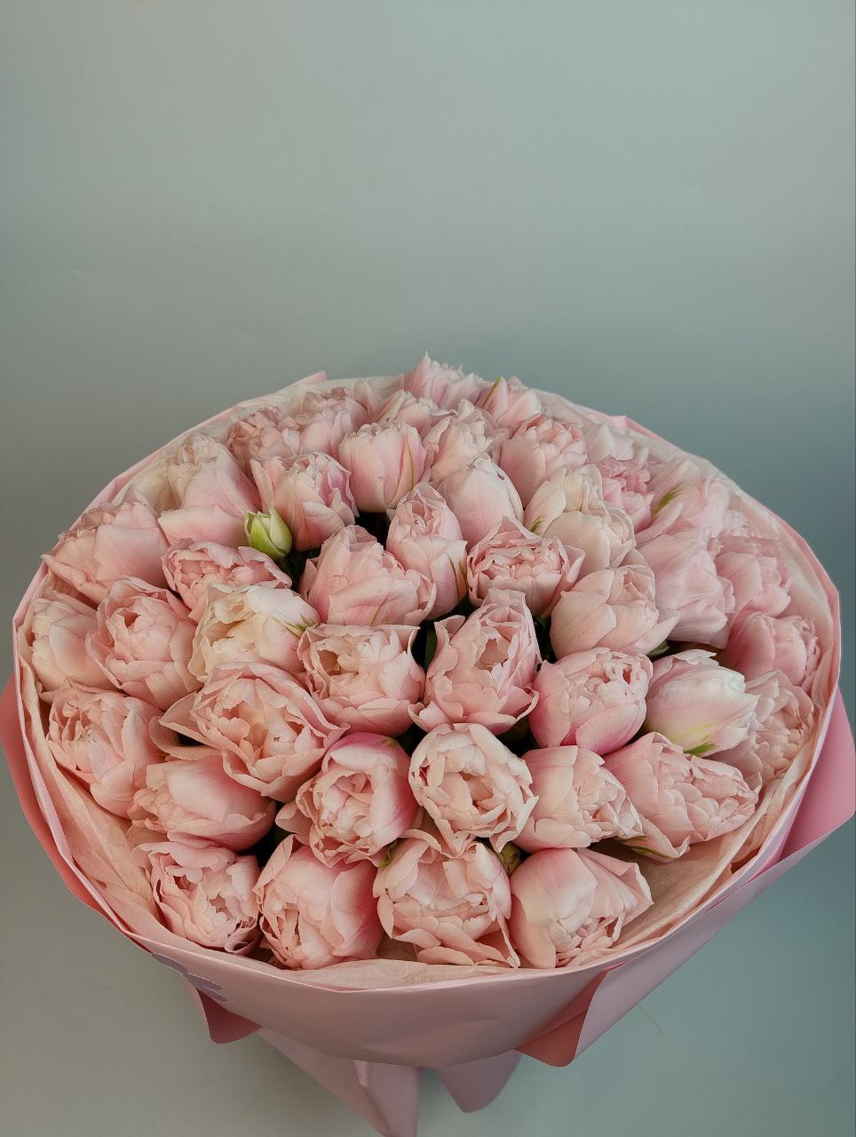 Рожевий піоновидний тюльпан 49шт image