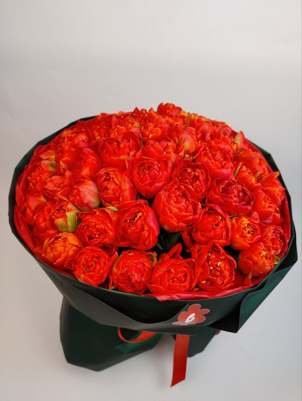 Червоний піоновидний тюльпан 49шт image