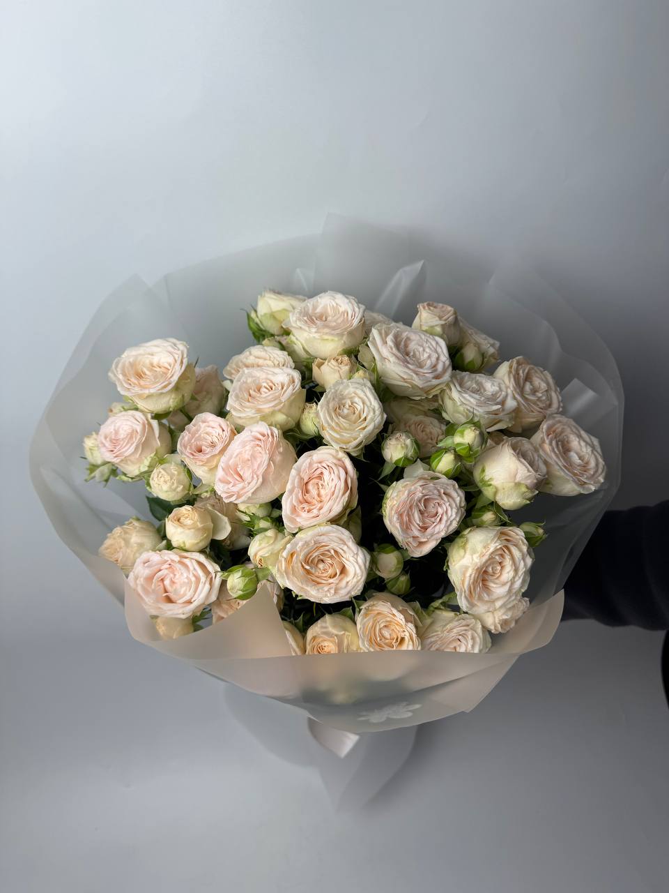 Букет кущових троянд Софі Спрей 7 шт image