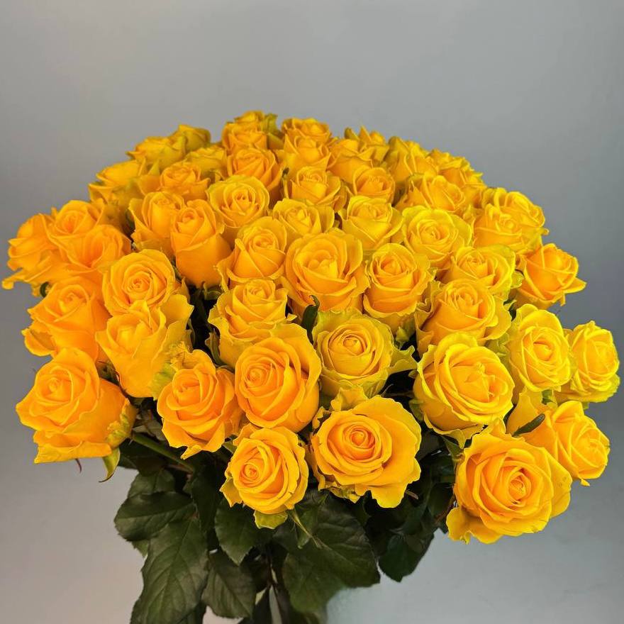 Букет троянд Пенні Лейн 51 шт image