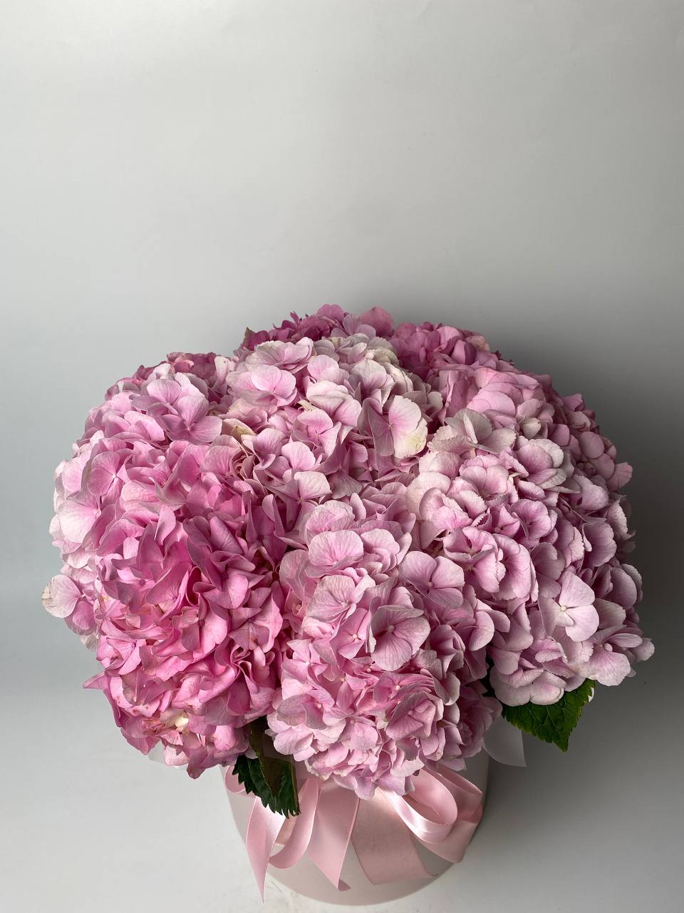 Гортензії 9 шт в коробці image