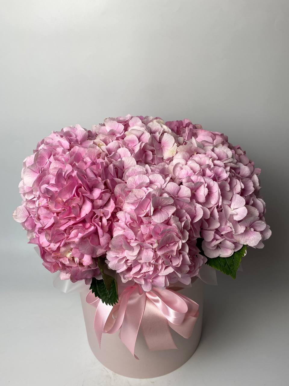 Гортензії 9 шт в коробці: Гортензія (Мікс) - 9
Композиції (Мікс) - 9.