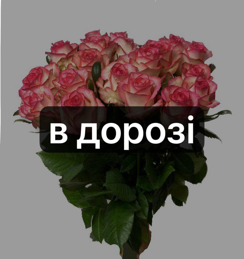 Джумілія 19 шт-70 см: Троянда (Рожевий) - 19.