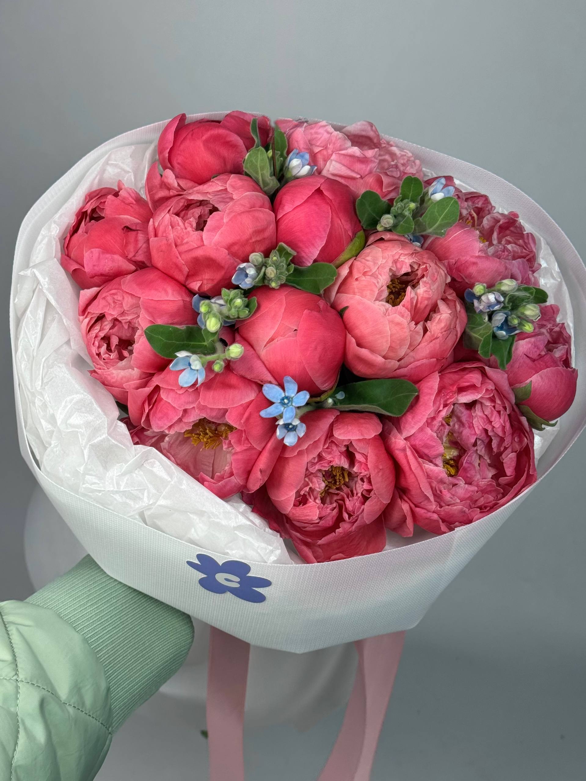 Букет півонії та оксіпіталум image