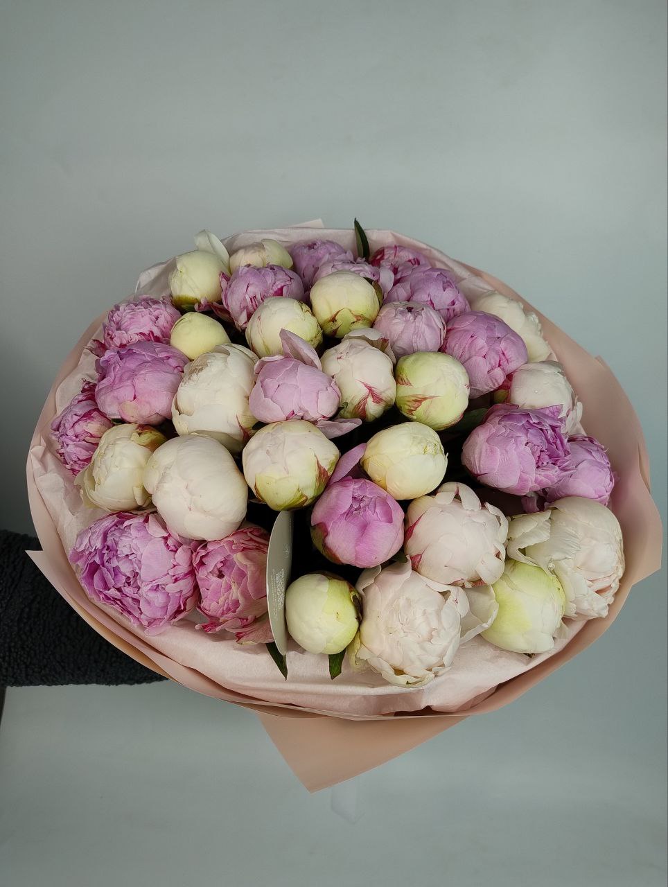 Мікс півоній 35шт image