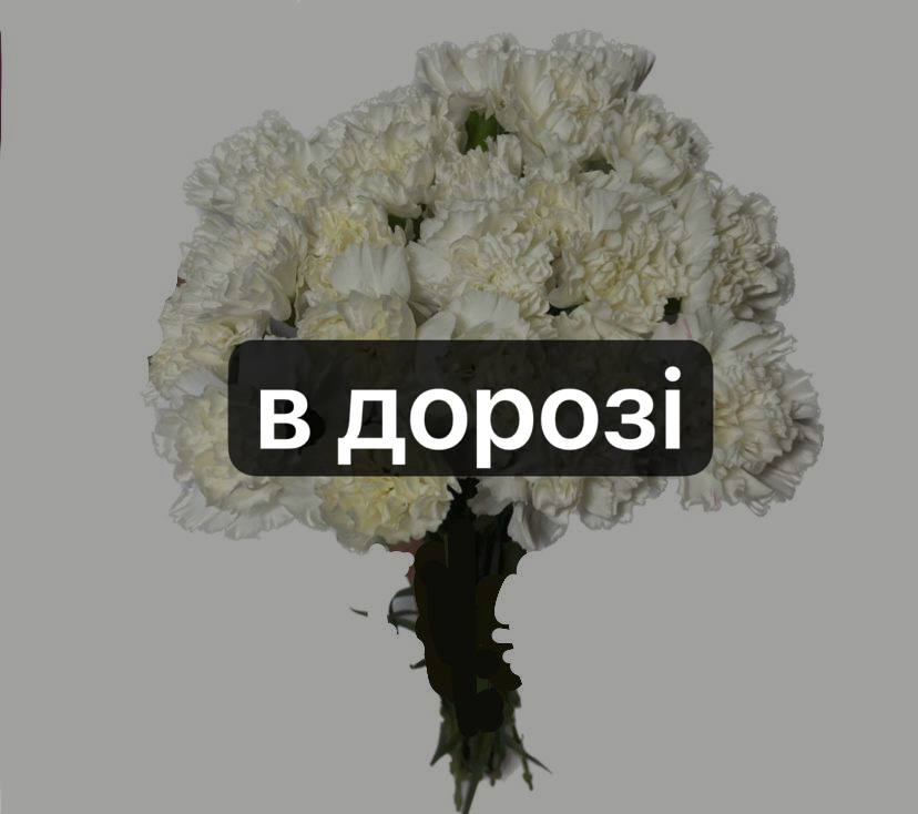 Діантус Білий 25 шт: Діантус (Білий) - 25.
