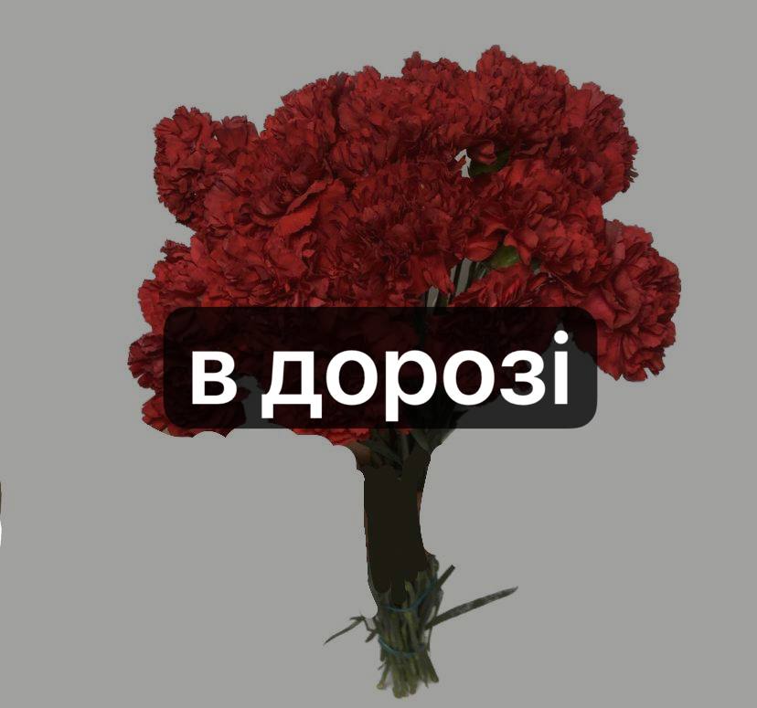 Діантус Червоний: Діантус (Червоний) - 25.
