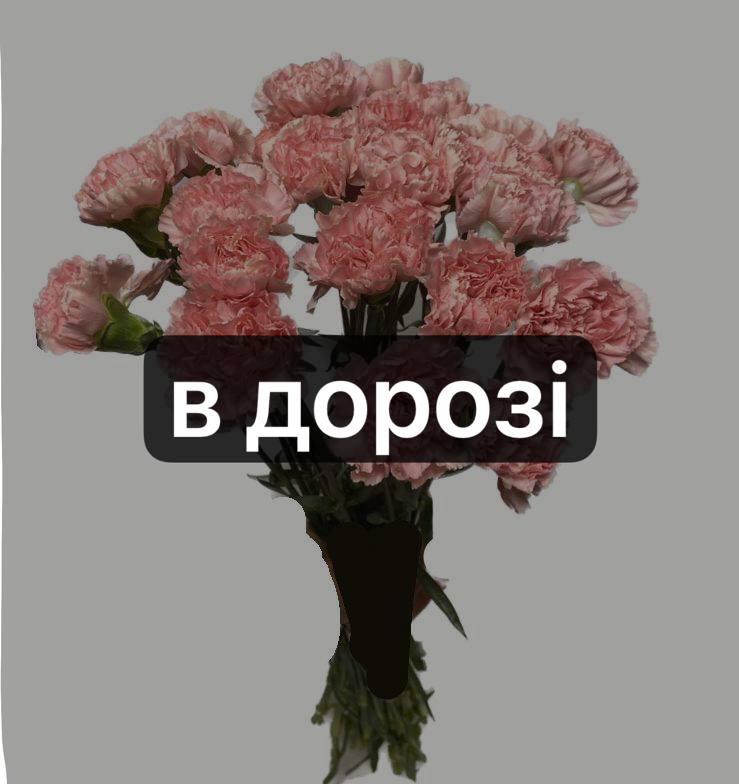 Діантус Рожевий: Діантус (Рожевий) - 25.