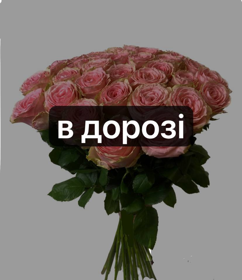 Софі Лорен 41 шт-70 см: Троянда (Рожевий) - 41.