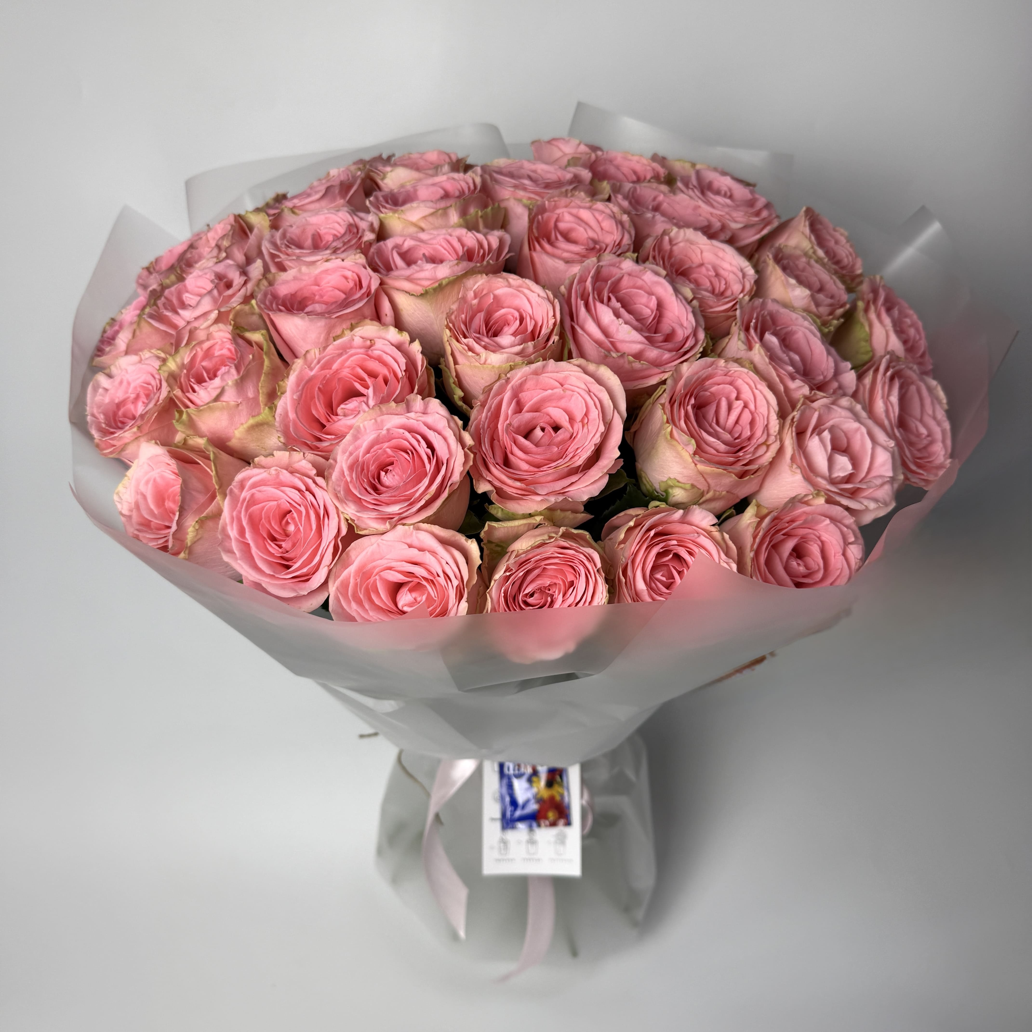 Букет троянд Софі Лорен 25 шт (80см) image