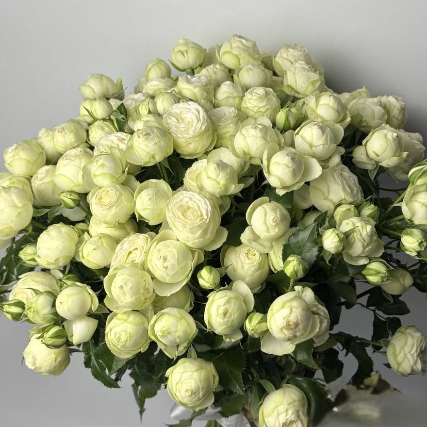 Букет троянд Сноу волд 13 шт image