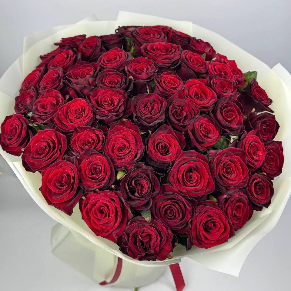 Букет троянд Гран Прі 51 шт (70см) image