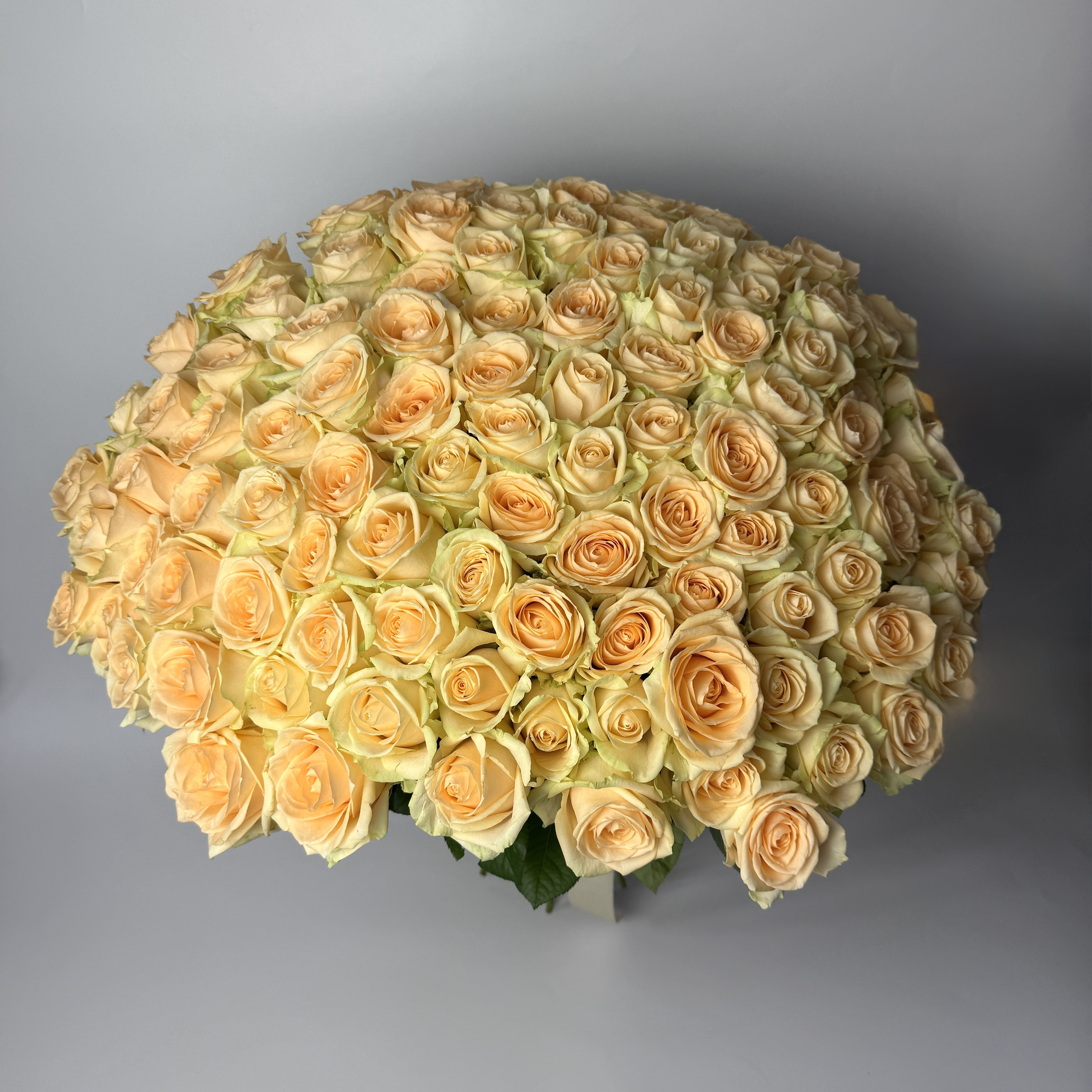 Букет троянд Піч Аваланч 101 шт 70см image