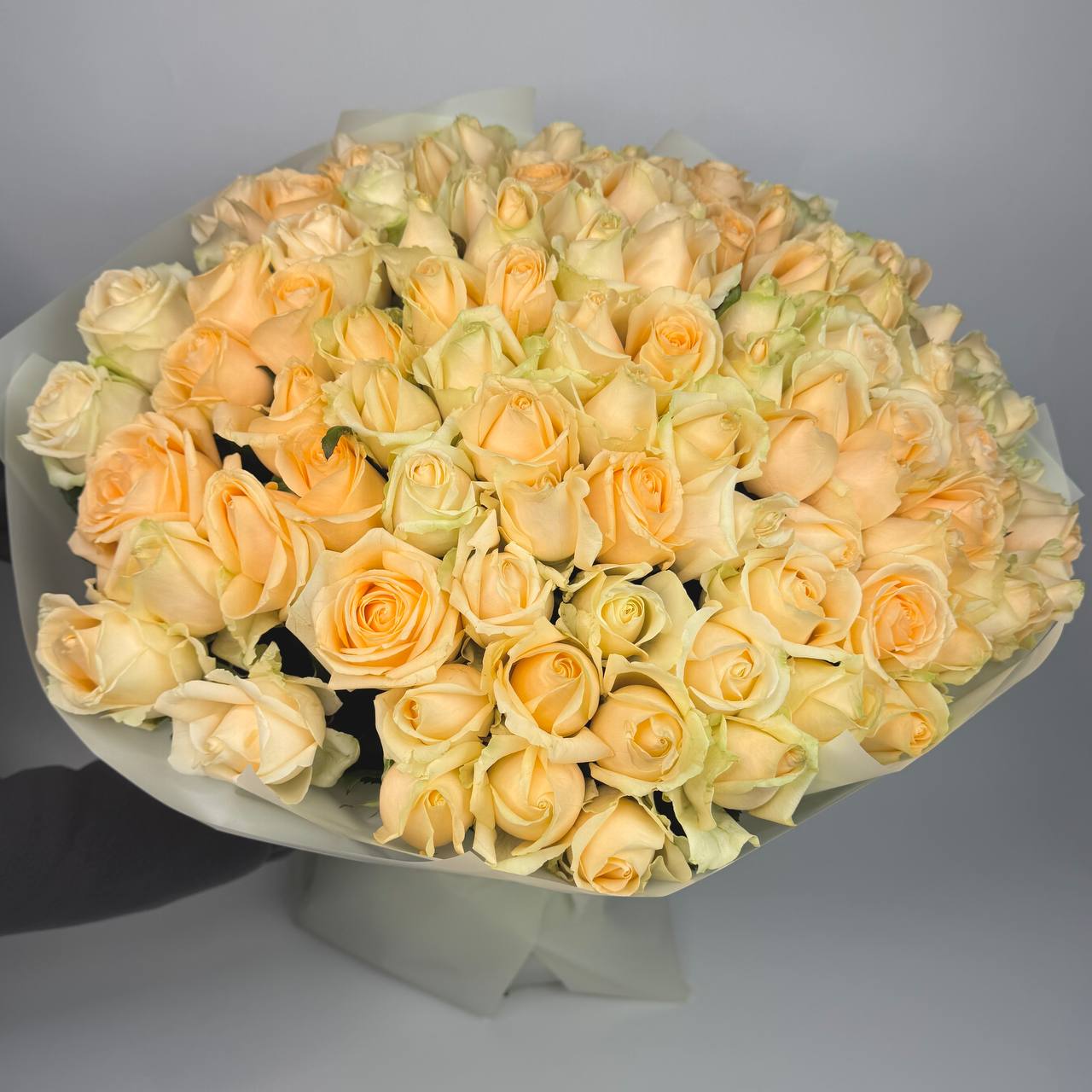 Букет троянд Піч Аваланч 101 шт 70см: Троянди (Білий) - 101.