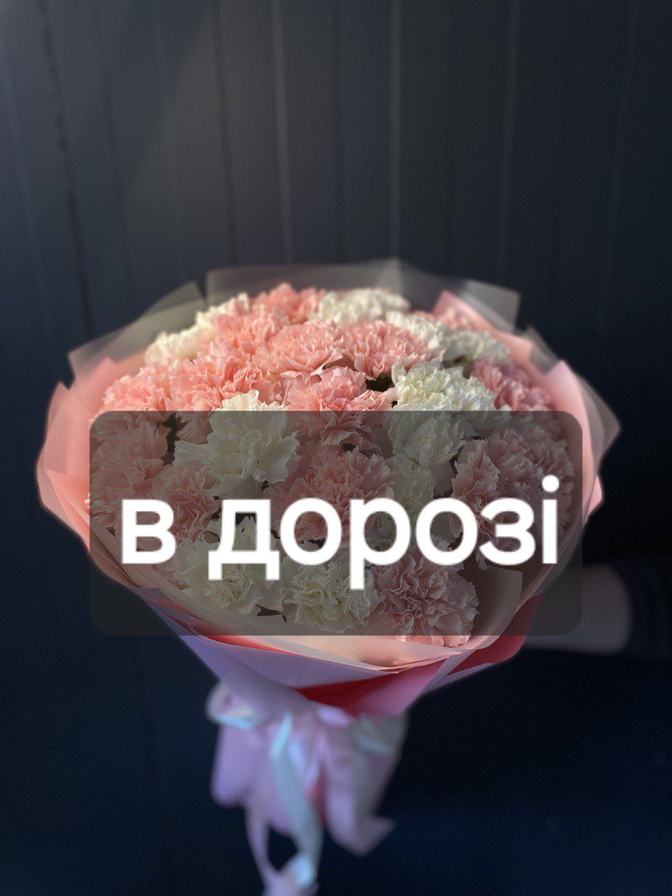 Діантус 31шт: Діантус (Мікс) - 31.