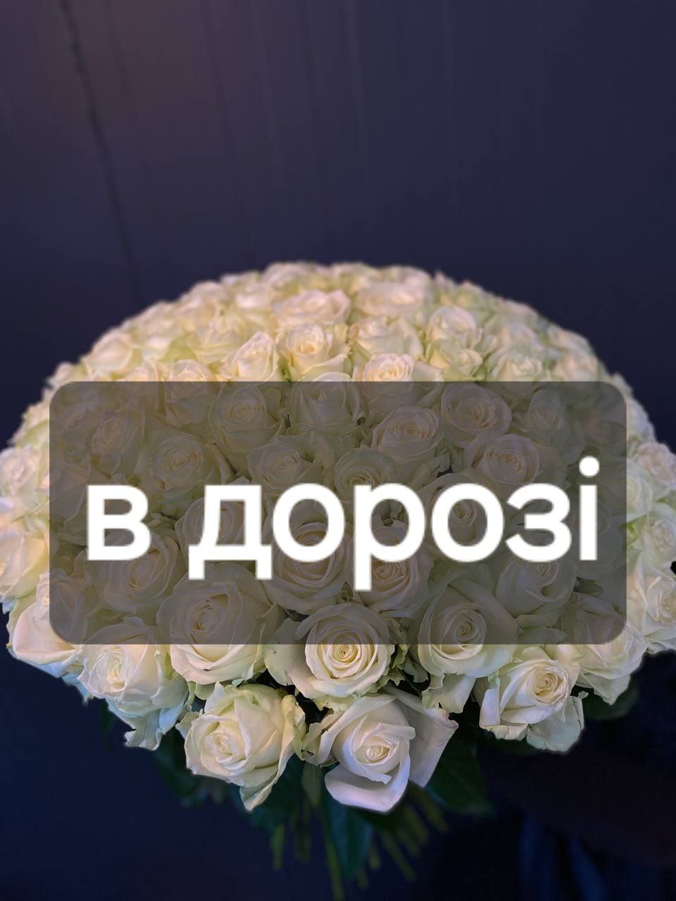 Троянда Аваланч 101 шт: Троянда (Білий) - 101.
