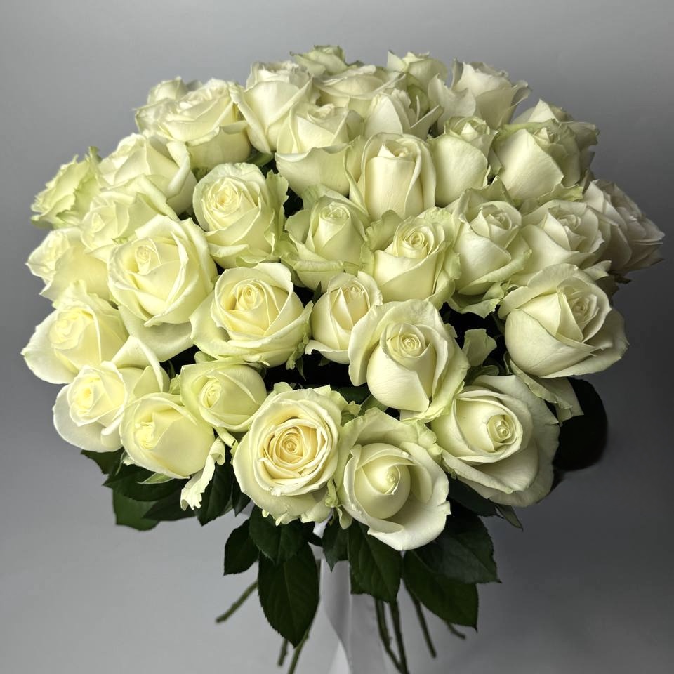 Букет троянд Аваланч 35 шт 80см image