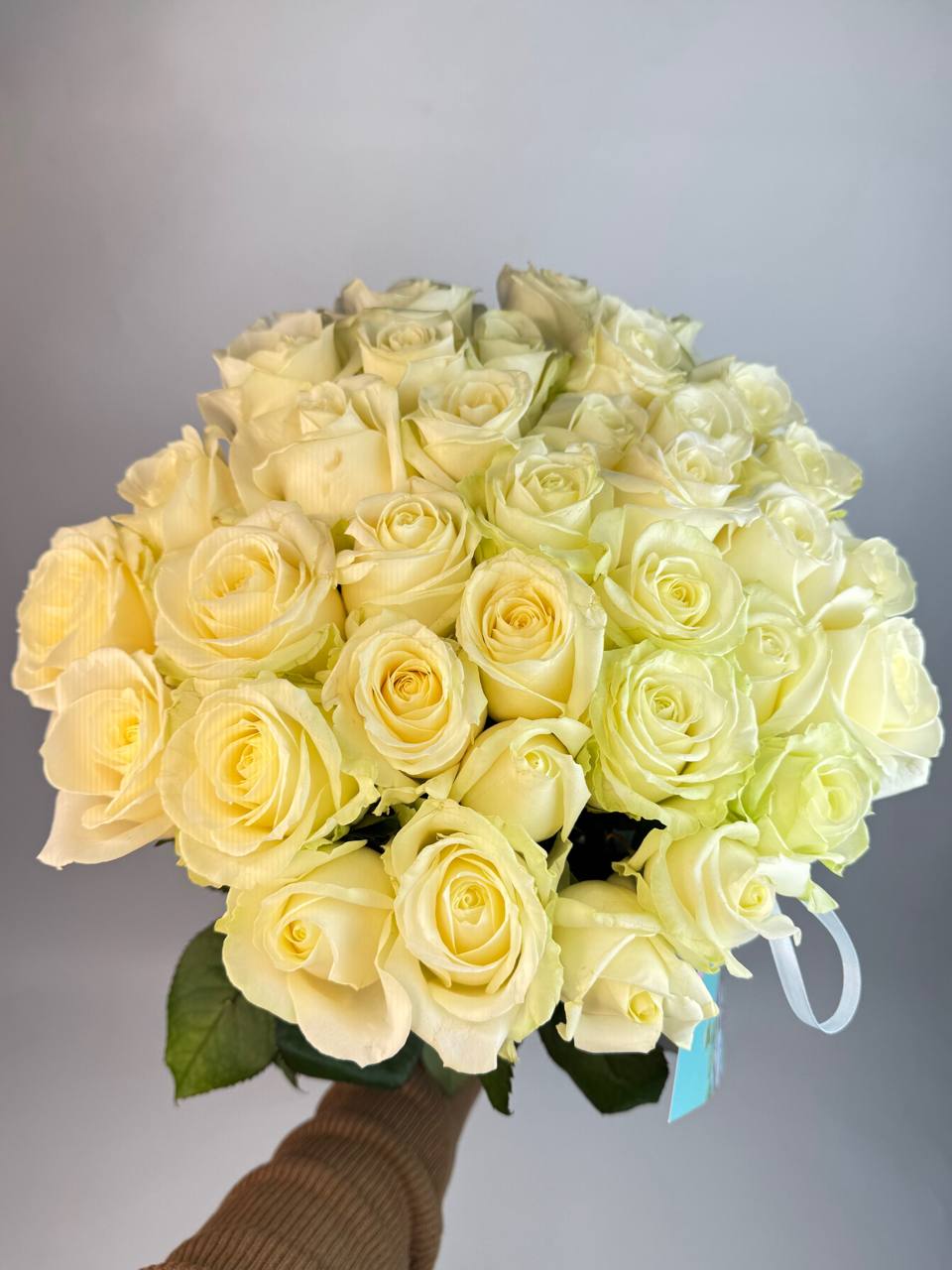 Букет троянд Аваланч 35 шт 70см: Троянди (Білий) - 35.