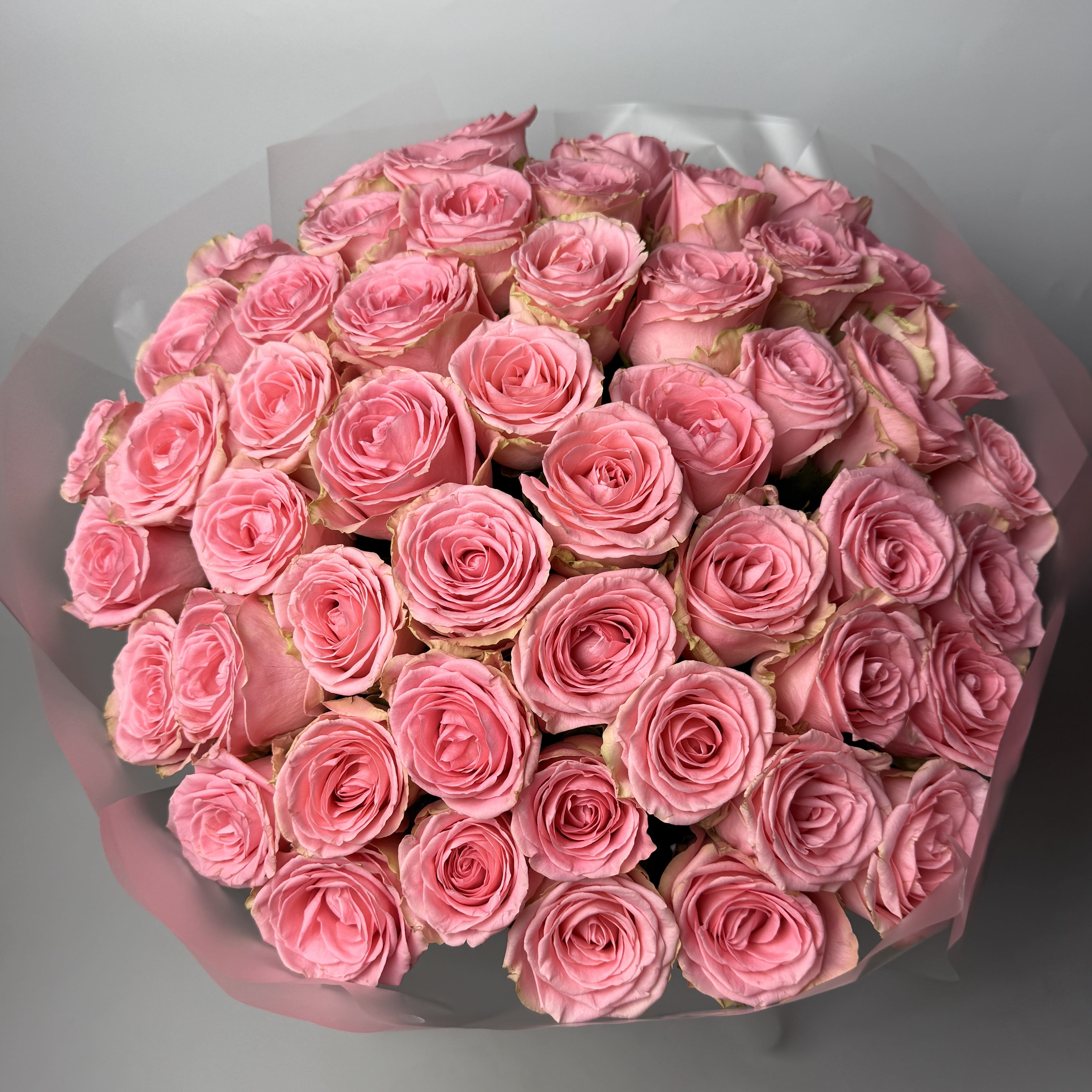 Букет троянд Софі Лорен 51 шт (70см): Троянди (Рожевий) - 61.