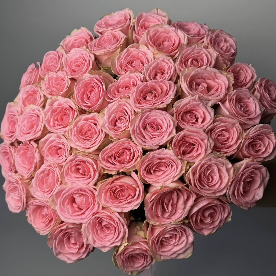 Букет троянд Софі Лорен 51 шт (70см): Троянди (Рожевий) - 61.