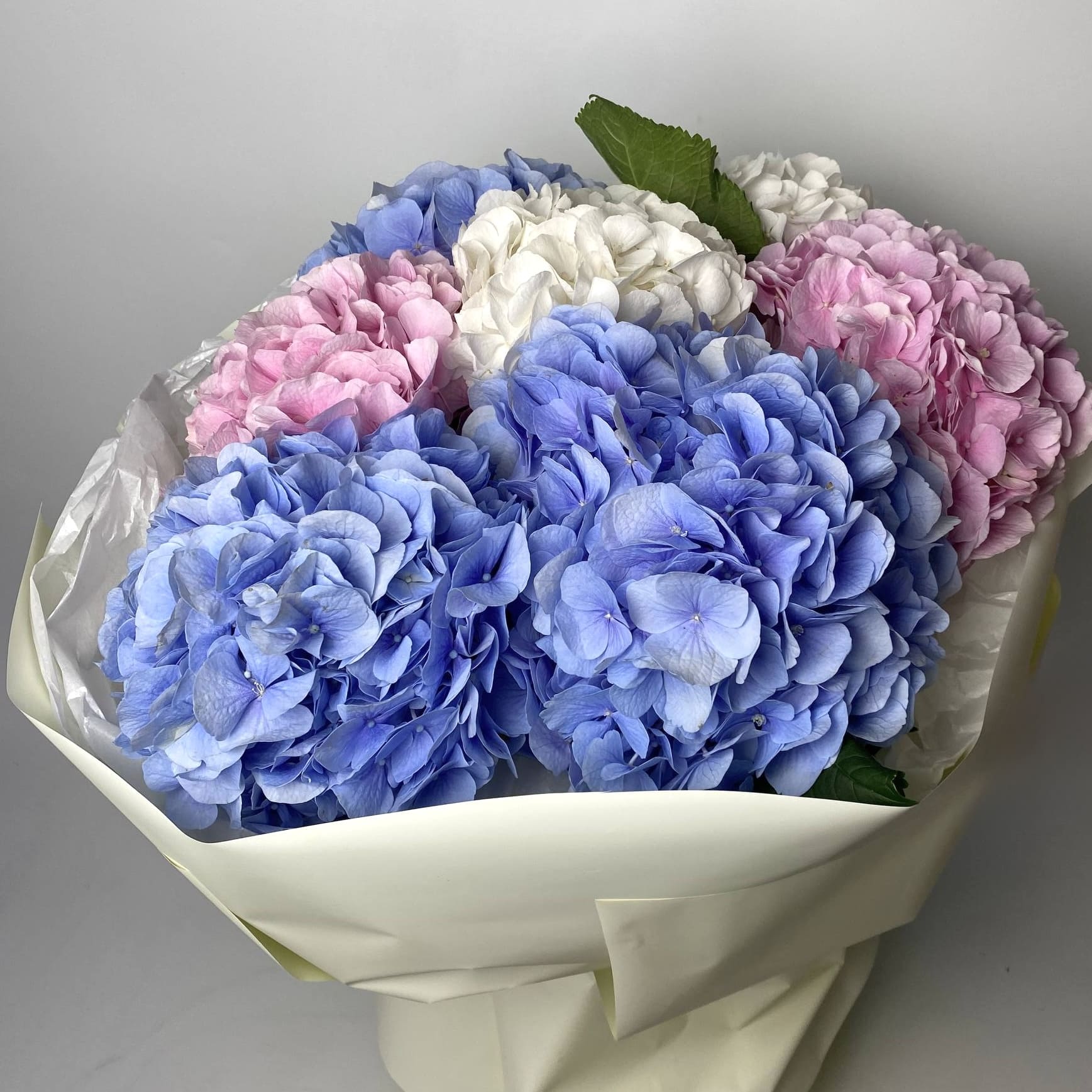 Букет мікс гортензій 7 шт image
