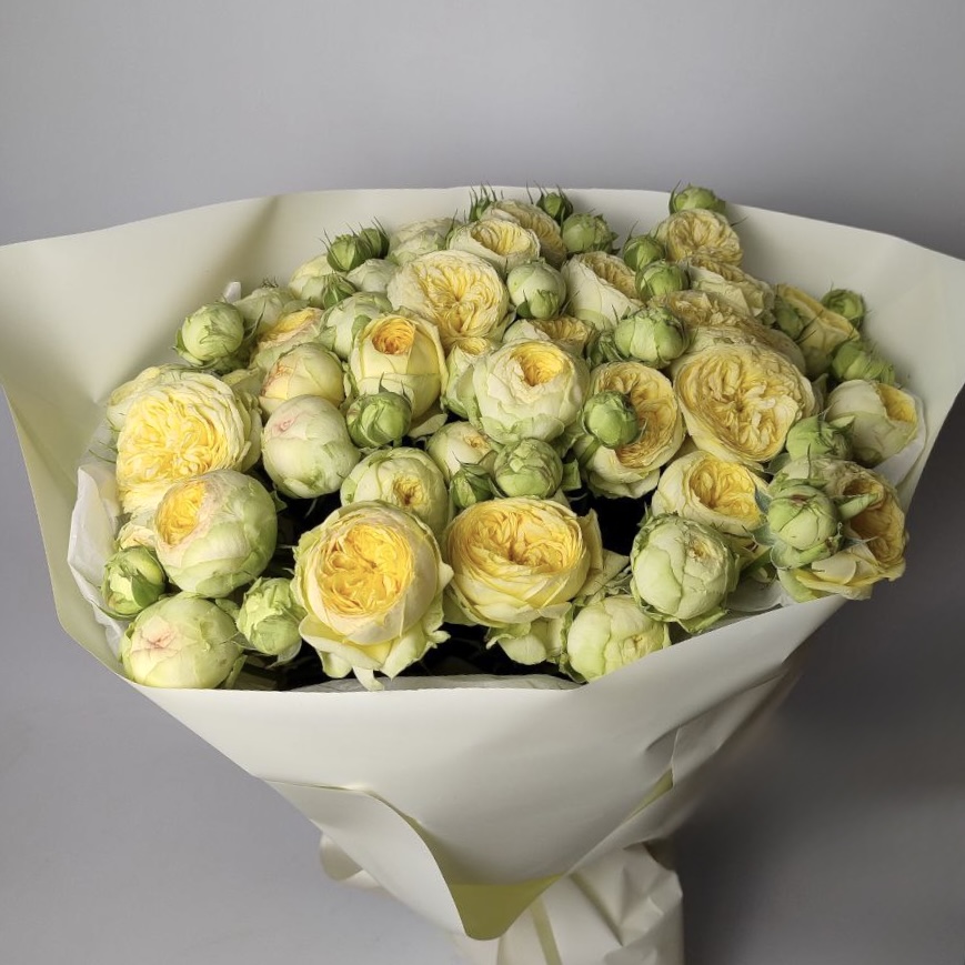 Букет троянд Піоні баблз 19 шт image